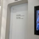 남부여동물병원 | 광진구 자양동 아이본동물병원에서 강아지 안과검진 받은 후기