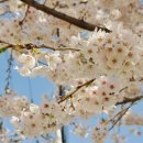 봄헤어아뜰리에 이미지