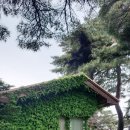 화진포역사안보전시관 이미지