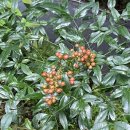 탁구1반 이미지