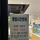 포레스트(FOREST)389 이미지