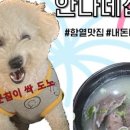 안나네집 이미지