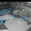 해피하개 이미지