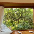 폴개우영 이미지