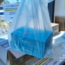 돌산 진모축구장 | [여수 맛집] 바다김밥 돌산점: 여수 라마다 호텔 근처 맛도리 간식 솔직후기