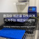 아떼꼬떼 동물병원 | 마취 중 따뜻하게 지켜주는 핫도그 체온 유지 장치 도입