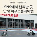 경기도 안성 아이랑 가볼만한곳 추천 하우스 플레이랩: 키즈카페+바베큐 애견동반 가능