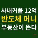 (주)로얄자산부동산중개법인 | [부동산 뉴스] 사내커플 12억 받는데 집 안 바꾸시겠어요?