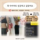 바디랜드 이미지