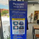 동성제약 옻안타는 천연염색