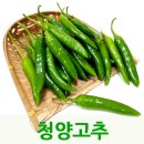 영양고추나라