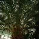 회산백련지 수상유리온실 이미지