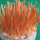 도원산업 이미지