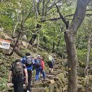 대동사 약수터 이미지