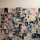 필스타 | 강남애견미용 잘하는 곳 찾는다면 포메 물개컷 곰돌이컷 만족도 최고, 필스타 후기