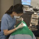 수미치과의원 이미지