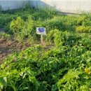 광교종합사회복지관 5층 강당 이미지