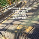 소사로794번길 이미지