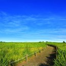 하늘공원 티스토리