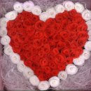 츄카츄카 이미지