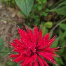 홍북읍 동막마을회관 | 2025.7.5(토) 지역마을탐방(홍천문화마을)