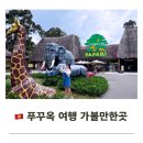 북부복지타운경로식당 | 푸꾸옥 여행 가볼만한곳 빈원더스 사파리 그랜드월드