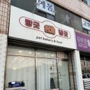 빵긋댕긋 이미지