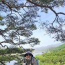 5월12일(일) 양산팔경의 금강둘레길과 영동와인코리아 트레킹 사진 이미지