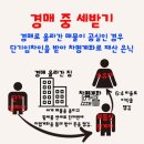 부동산과 경매 | [부동산 경매 강의 후기] 경매 중 세 받기 사례 및 강제관리신청의 현실