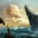 머지고래 이미지