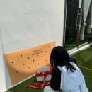 하오하개 이미지