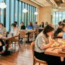 라그릴리아 SPC스퀘어점 파이낸셜뉴스
