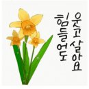 사랑의술잔 네이버블로그