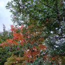 화물차 따라가기 이미지