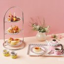 애프터눈 이미지