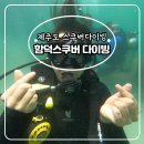 함덕스쿠버다이빙 이미지