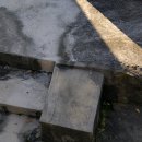 하모리-9 이미지