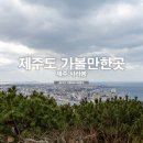 제주 사라봉 일제동굴진지 | 제주도 가볼만한곳 사라봉 제주 올레길 18 코스 혼자 여행
