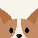 이쁜 댕댕이 이미지