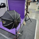 펫 포포즈 이미지