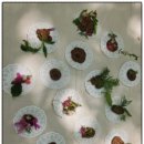 드림153유치원 이미지