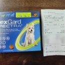 봉천현대동물병원 이미지