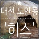 대전 도안동 파충류샵) 다양한 생물들이 가득한 'Hiss(히스)' 방문 후기(추천추천)