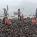 내도동 알작지왓 이미지