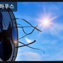 수연하우스