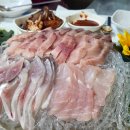 엔돌핀 선어 이미지