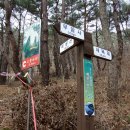 [제천 동산,작성산] 무암사에서 남근석으로 올라 작성산 소뿔바위까지 (2013.11.19.화) 이미지