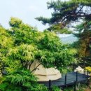 허그안 힐링캠프 이미지