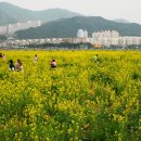 낙동강변 이미지