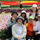 솔로몬목장 이미지